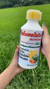 สารเสริมความแข็งแรงกับพืช ป้องกันแมลง ศัตรูพืช ไซโรเทคไอริน ใช้น้อยเห็นผลไว