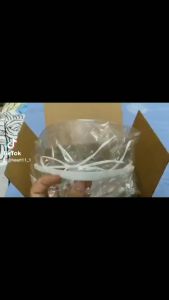 Combo 3 hộp 10 khẩu trang nhựa trong suốt mã 609