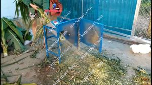 Máy băm cỏ voi  inox 4 chân  băm rau bèo