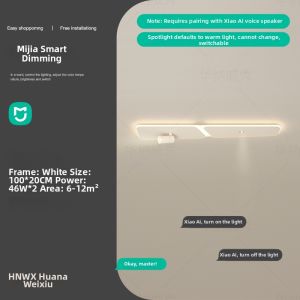 Creative Minimalist LED Ceiling Light