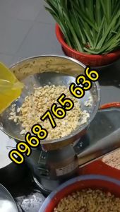 Máy xay vắt đậu nành tách bã 1100W - Máy xay vắt đậu nành mô tơ dây đồng