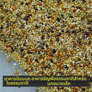Jiaxu | Natural Outdoor Feeding Small Bird Food With Shell