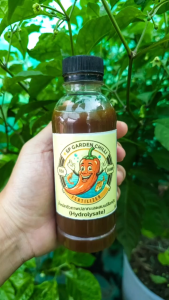 ผลดกเต็มต้น‼️น้ำหมักปลาทะเลผสมเปลือกกุ้งไฮโดรไลเซท(hydrolysate)สูตรเดียวจบ👍