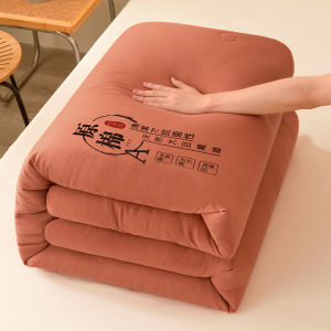 Minimalist Style Class a Raw Cotton Soybean Fiber Quilt Inner Quilt for Spring and Autumn Thermal Winter Duvet Summer Summer Quilt Dormitory Household