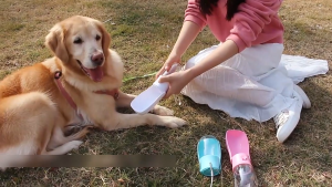 BQGRBT dog water bottle foldable Portable Pet Dog Water Bottle 300ml Leakproof Pet Walking Feeder High Capacity Foldable Pet Water Dispenser Small Large Dogs Cat