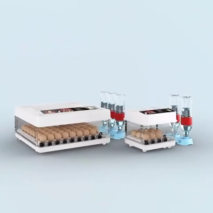 Egg Hatcher Automatic Water Circulation Automatic Temperature Control Adjustable Spacing Household Egg Hatcher