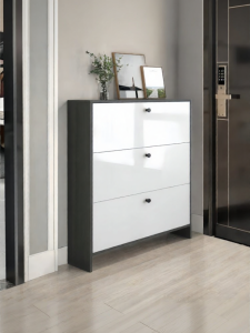ENLUOLIJIA | Slim Minimalist Wood Storage Cabinet