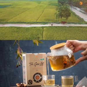 COMBO 2 HỘP Trà gạo lứt Quê Việt thanh lọc gan giải độc cơ thể nguyên liệu tự nhiên an toàn