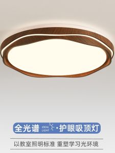 โคมไฟติดฝ้าสีน้ำพุ่มรูปวงกลมระบายแสงแบบครบวงจรสำหรับห้องนอนสไตล์ย้อนยุค สัมผัสความหรูหรา อุปกรณ์ตกแต่งภายในบ้าน