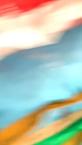 【Lucky Paws PH】Organic Pet Toppers for Dogs and Cats