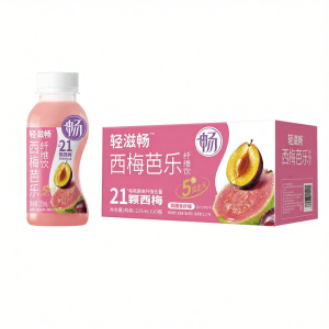 LIGHT UPPER | Low-Calorie Plum Juice Beverage