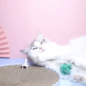 SG Cat Toy Cat scratch board combination toy Highly loved by kittens