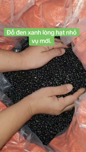 Đậu Đen Xanh Lòng Loại 1 Hạt Nhỏ Thuần Chủng Hữu Cơ 100% Tự Nhiên.Túi 300G.500G.1Kg||HAMIFOODS