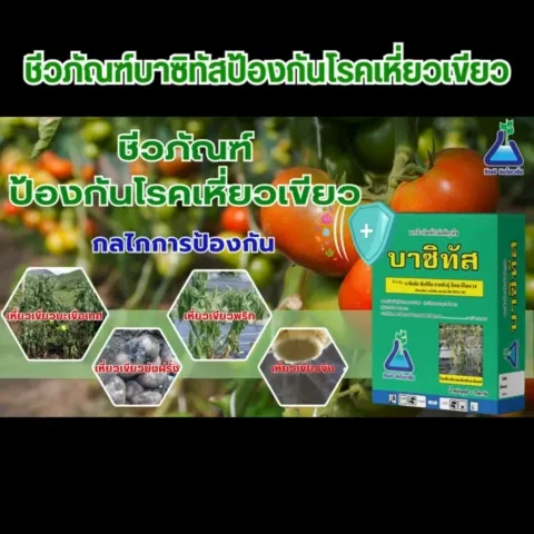 บาซิทัส บาซิลลัส ซับทิลิส BS-DOA 24 ชีวภัณฑ์ปลอดสารพิษ