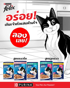 Felix อาหารเปียกแมวโต ทุกรส 85g. กล่อง(12ซอง)