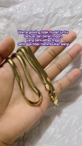 Kalung Titanium Impor Berkualitas Tidak Berkarat Tidak Luntur dan Nyaman Di Pakai Untuk Pria dan Wanita Ukuran Jumbo Warna Emas