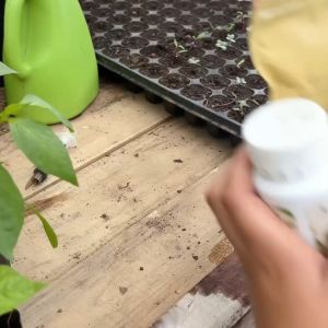 Benih Seribuan - Paket Nutrisi Siap Panen: Pupuk Organik Cair Sayuran + Pupuk Organik Cair Tanaman Buah + Pestisida Nabati