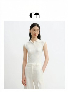 Designer Autumn Fitted Knit Vest