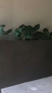 Abaya Daily Sarah Tassle Gamis Hitam Hitz Terbaru