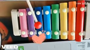 Jackjacktoys Mainan Alat Musik Edukatif Anak Bayi dan Balita Xylophone Kolintang Mempelajari Musik Mainan Kayu