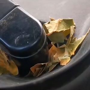 Miếng cao su  nắp đậy lỗ cần gạt nước kính chắn gió cho xe hơi nhiều mẫu (A/B/C/D) chống bụi  ngăn rác ô tô