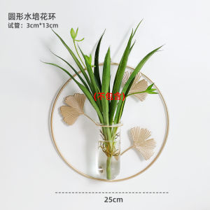 Wall-Mounted Flower Rack Green Plant Hydroponic Vase Iron Pendant Decorative Painting for Hallway Wall Flower Arrangement Scindapsus  Tube Vase