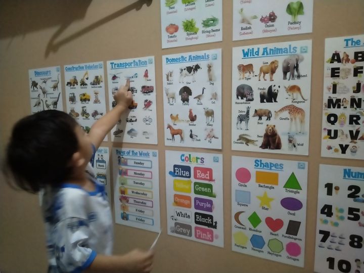 Laminated Charts for Kids A4 Size Sold per pc | Lazada PH