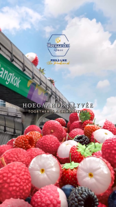 Hoegaarden Lychee Berries 500ml Cans 12s Limited Edition
