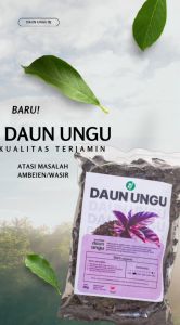 Herbal Teh Seduh Daun Ungu 40 gram Curah Daun Ungu Kering Organik Untuk Atasi Wasir Ambeien Melancarkan BAB