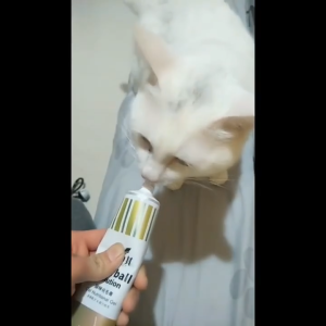 Gel tiêu búi lông và dưỡng lông cho Mèo thương hiệu Dorrikey tuýp 120gram (mẫu mới) - Hara Pet Store
