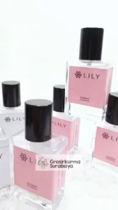 LILY - Parfum Pria Aroma Maskulin Inspired By V*RSACE ER*OS Awet Tahan Lama Untuk Aktifitas Kerja