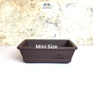 The Leaferie Bonsai Rectangular Pot (Series 3) Plant pot Zisha Flowerpot Purple Sand Planter Flower