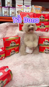 Pawsome - Thịt Sấy Khô Tự Nhiên Cho Chó Mèo THỊT SẤY KHÔ PAWSOME CHO CHÓ MÈO