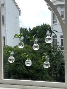 Creative Semi Circular Class Wall Mounted Vase Flower Plate Plant Hydroponic Aquarium Wall Fish Tank Aquarium Home Decoration