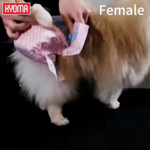 Pet Diaper Dog Diaper Male Dog Female Dog Belly Wrap Full Wrap (12/36 pcs per pack) Premium Diaper Dogs Accessories