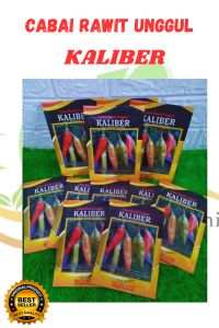 BENIH BIJI CABAI MERAH KALIBER TAHAN VIRUS PAKET 100 BUTIR BENIH CABAI KALIBER