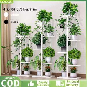 LOOGU (COD) 2/3/4/5/6/8 Tier Metal Plant Stand Plant Stand Rack Flower Pot Holder Plant Display Rack Farmhouse Garden Decorative Plant Stand Flower Pot Rack For Living Room Bedroom Balcony and Office
