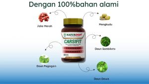 Naturindo Carsifit Kapsul Herbal Penyembuh Stroke & Kontrol Tekanan Darah