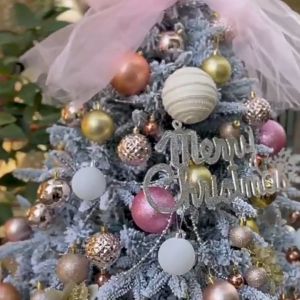 🎄ฟื้นฟูโครงสร้างต้นสน 300%🎄 ต้นไม้ ต้นคริสต์มาส 1.2/1.5/1.8/2.1เมตร ต้นไม้ตกแต่งบ้าน ไม่มีผงหลุดออก   Christmas tree ต้นคริสต์มาสขนาดใหญ่ หรูหราหนาแน่นขึ้น ต้นไม้ปลอม ต้นคริสมาสใหญ่ ต้นคริสมาส คริสต์มาส ต้นคริสมาสต์ ต้นไม้เทศกาลคริสต์มาส