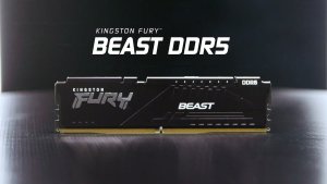 Kingston Fury Beast DDR5 16GB/32GB 16Gbit DRAM AMD EXPO Kit of 2 Gaming Desktop Memory Black