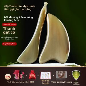 Bảng Gua Sha Đa Năng Cho Làm Đẹp Và Giảm Căng Cơ
