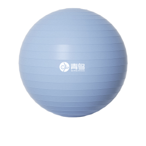 Fitness Ball Sensory Training Pregnancy Support