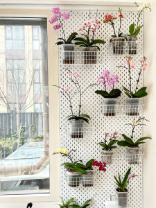 BEIQIVI | Custom Heavy-Duty Hole Pattern Wall Mounted Plant Organizer Stainless Steel Magnetic Accessories