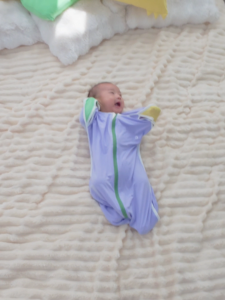 Hae Hae The Farmers Market Bamboo HaeZip™ Anti-Startle Sleep Sack & Swaddle