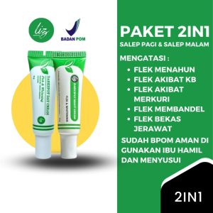 [SIANG MALAM!!] Paket 2in1 Salep Elzet Skincare BPOM Salep Siang dan Malam Pemutih Kulit Wajah Kusam 100% Original Cream Penghilang Komedo Jerawat dan Beruntusan Krim Penghilang Flek Membandel Ampuh Permanen BPOM