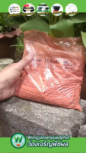 ดินแดง ตรา 5 ดาว ยาทาหน้ายางพารา สูตรเกราะป้องกันหน้ายาง 1 กระสอบ ป้องกันโรคหน้ายาง (จำนวน 25 ถุง)