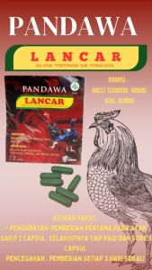 PANDAWA LANCAR jamu ayam - ditekan macet / pernapasan
