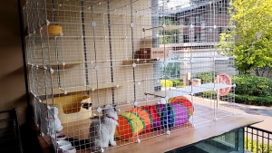 Flexible Multi-Tier Small Pet Playpen - Modular Cat/Dog/Rabbit Cage with Durable Plastic & Wire Construction