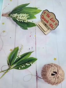 Combo 10 Quần Lót Nữ From To Thông Hơi Hoa Gấm Thoáng Mát Thấm Hút Mồ Hôi Size từ 50-62 Kg [88639] - Đồ Lót Quỳnh Nhi