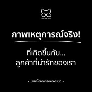 ปลอกคอแมวนิรภัยยางยืด Leopard